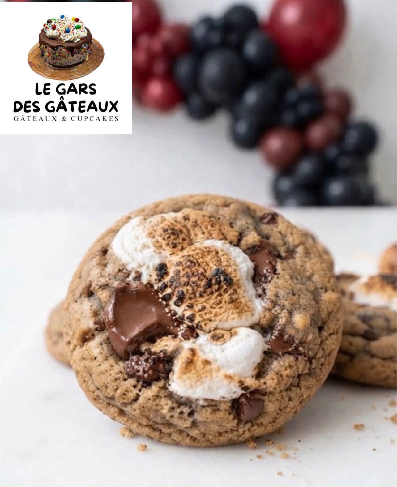 Biscuit s’mores en gros plan avec guimauve dorée et chocolat fondant