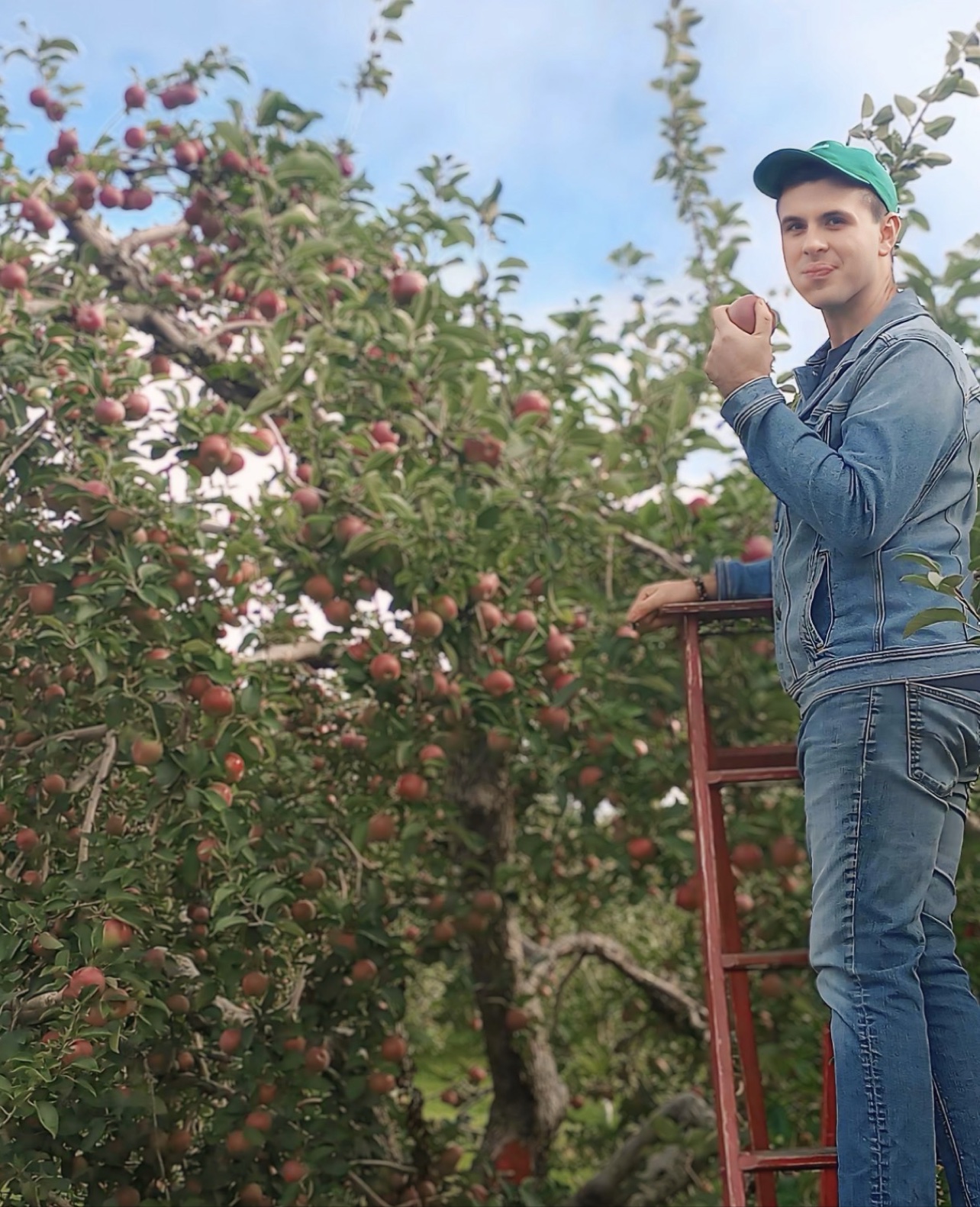 Alex cueillant des pommes au verger